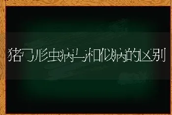 猪弓形虫病与相似病的区别