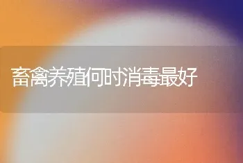 畜禽养殖何时消毒最好