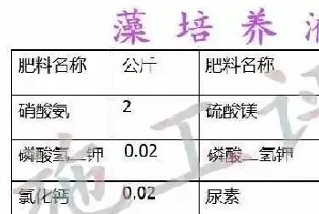 施工谈亚硝酸盐杀手：细说池塘外绿藻培养