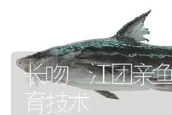 长吻鮠江团亲鱼的来源和培育技术