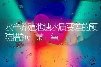 水产养殖池塘水质变差的预防措施：菌+氧