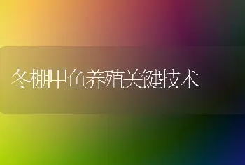 冬棚甲鱼养殖关键技术