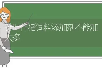 针叶作猪饲料添加剂不能加太多