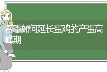 春季如何延长蛋鸡的产蛋高峰期