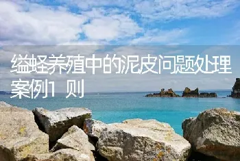 缢蛏养殖中的泥皮问题处理案例1则