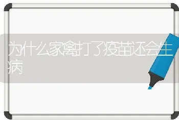 为什么家禽打了疫苗还会生病