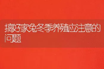 搞好家兔冬季养殖应注意的问题