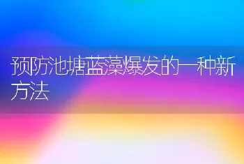 预防池塘蓝藻爆发的一种新方法