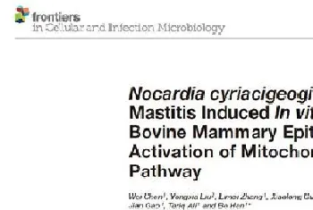 论文解读--诺卡氏菌通过激活线粒体半胱天冬酶途径诱导牛乳腺上皮细胞凋亡