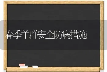 春季羊群安全防病措施