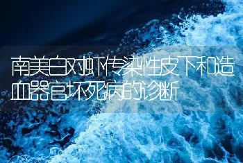 南美白对虾传染性皮下和造血器官坏死病的诊断