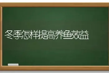 冬季怎样提高养鱼效益