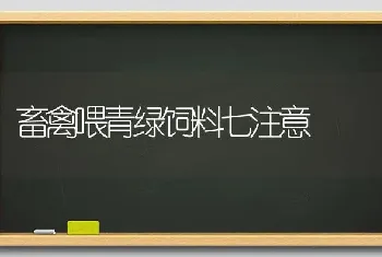 畜禽喂青绿饲料七注意