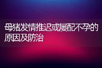 母猪发情推迟或屡配不孕的原因及防治