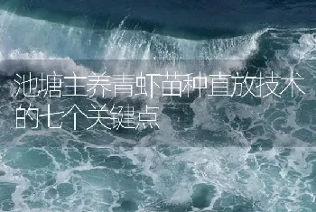 池塘主养青虾苗种直放技术的七个关键点