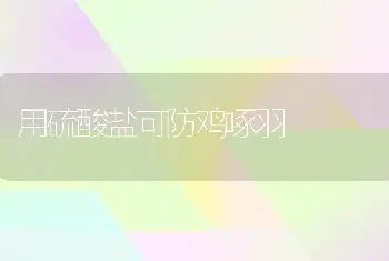 用硫酸盐可防鸡啄羽