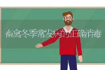 畜禽冬季常发病的正确消毒