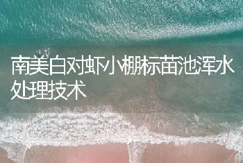 南美白对虾小棚标苗池浑水处理技术