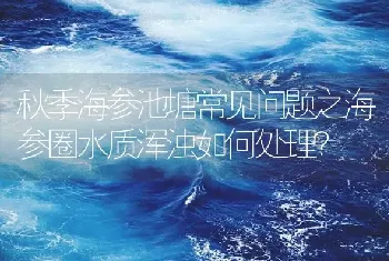 秋季海参池塘常见问题之海参圈水质浑浊如何处理?