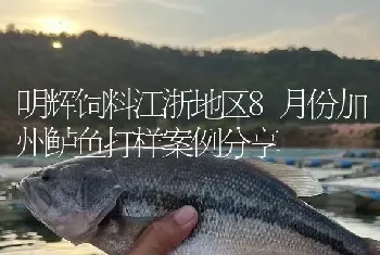 明辉饲料江浙地区8月份加州鲈鱼打样案例分享