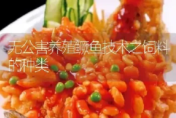 无公害养殖鳜鱼技术之饲料的种类