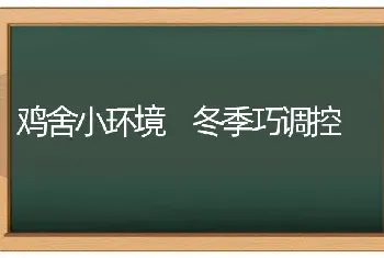 鸡舍小环境 冬季巧调控