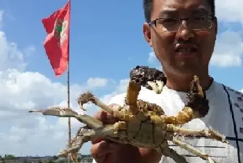 “超鲜”河蟹育肥料中秋结果耐人深思：早上市产量超越冰鱼塘口两倍多