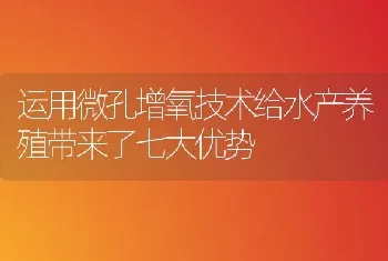 运用微孔增氧技术给水产养殖带来了七大优势