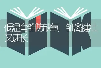 低温育雏防缺氧 雏禽健壮又速长