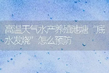 高温天气水产养殖池塘“底水发烧”怎么预防