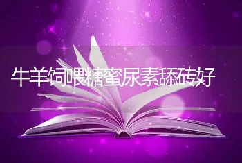 牛羊饲喂糖蜜尿素舔砖好