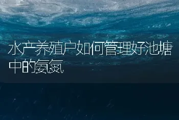 水产养殖户如何管理好池塘中的氨氮