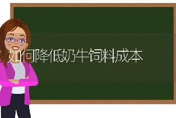 如何降低奶牛饲料成本