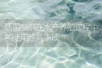 活菌制剂在水产养殖过程中的使用注意事项