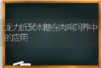 龙力低聚木糖在肉鸡饲养中的应用