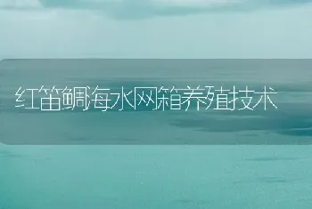 红笛鲷海水网箱养殖技术