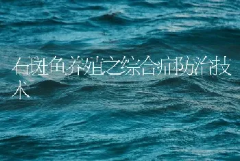 石斑鱼养殖之综合症防治技术