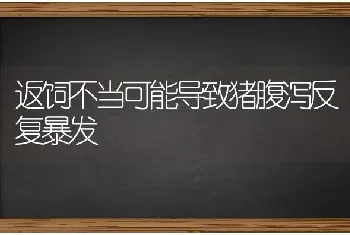 返饲不当可能导致猪腹泻反复暴发