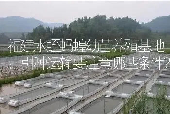 福建水蛭蚂蝗幼苗养殖基地：引种运输要注意哪些条件?