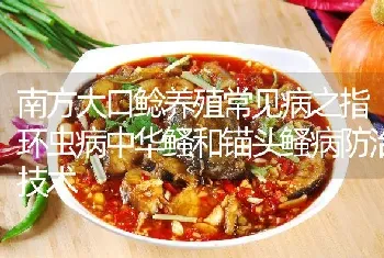 南方大口鲶养殖常见病之指环虫病中华鳋和锚头鳋病防治技术