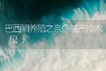 巴西鲷养殖之亲鱼催产技术(2)