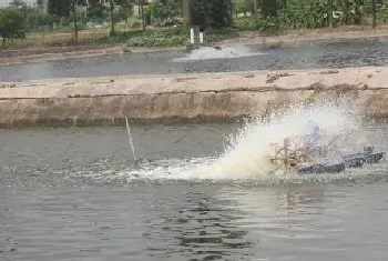 水产杂谈丨论南美白对虾养殖的筹码