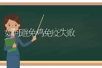 如何避免鸡免疫失败