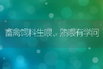 畜禽饲料生喂、熟喂有学问