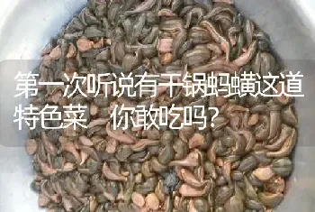 第一次听说有干锅蚂蟥这道特色菜 你敢吃吗?