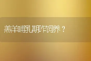 羔羊哺乳期咋饲养?