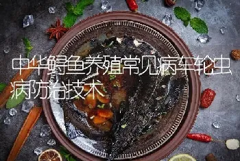 中华鲟鱼养殖常见病车轮虫病防治技术