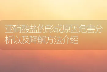 亚硝酸盐的形成原因危害分析以及降解方法介绍