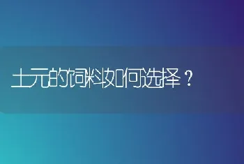 土元的饲料如何选择?