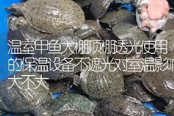 温室甲鱼大棚顶棚透光使用的保温设备不遮光对室温影响大不大